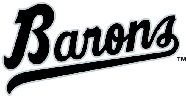 Birmingham Barons 1993-2007 Wordmark Logo iron on transfers for clothing